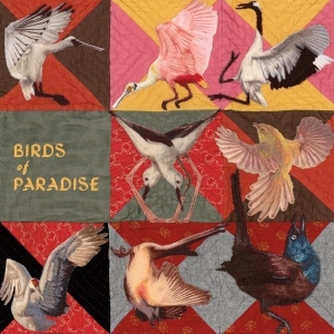 Thomas Dollbaum - Birds Of Paradise in der Gruppe VINYL / Kommande / World Music bei Bengans Skivbutik AB (5669361)