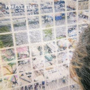 Forest Fire - Staring At The X in der Gruppe CD / Pop-Rock bei Bengans Skivbutik AB (5669408)