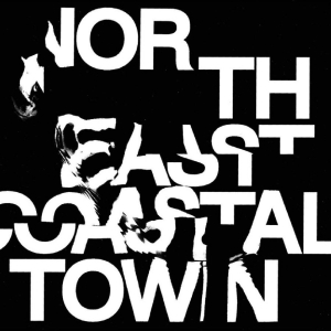 Life - North East Coastal Town in der Gruppe VINYL / Kommande / Pop-Rock bei Bengans Skivbutik AB (5669423)