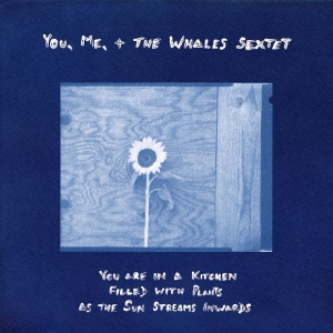 You Me + The Whales Sextet - You Are In A Kitchen Filled With Pl in der Gruppe VINYL / Kommande / Jazz bei Bengans Skivbutik AB (5669706)