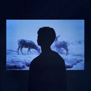 Jumo - Memory in der Gruppe UNSERE TIPPS / Startsida - Vinyl Nyheter & Kommande bei Bengans Skivbutik AB (5669755)