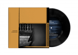 Joakim Berg - Blindgångare in der Gruppe UNSERE TIPPS / Record Store Day / RSD 2026 bei Bengans Skivbutik AB (5669847)