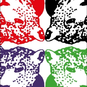 Tiger & Woods - Through The Green in der Gruppe VINYL / Kommande / Pop-Rock bei Bengans Skivbutik AB (5670066)