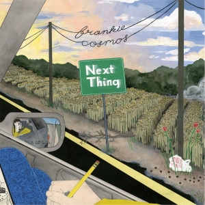 Frankie Cosmos - Next Thing (10Th Anniversary Editio in der Gruppe VINYL / Nyheter / Pop-Rock bei Bengans Skivbutik AB (5670454)