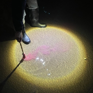 Diles Que No Me Maten - Escrito En Agua (Ltd. Sangre Luz Vi in der Gruppe VINYL / Kommande / Pop-Rock bei Bengans Skivbutik AB (5670640)