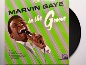Marvin Gaye - In The Groove in der Gruppe VINYL / Importnyheter / RnB-Soul bei Bengans Skivbutik AB (5670742)