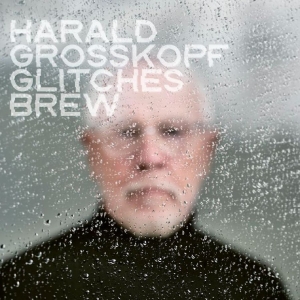 Harald Grosskopf - Glitches Brew in der Gruppe VINYL / Kommande / Pop-Rock bei Bengans Skivbutik AB (5670865)