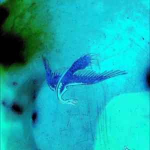 Schilling - Details in der Gruppe VINYL / Kommande / Pop-Rock bei Bengans Skivbutik AB (5670874)