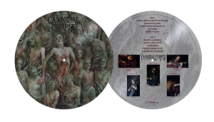 Cannibal Corpse - Bleeding The (Picture Disc Vinyl Lp in der Gruppe VINYL / Kommande / Hårdrock bei Bengans Skivbutik AB (5671330)