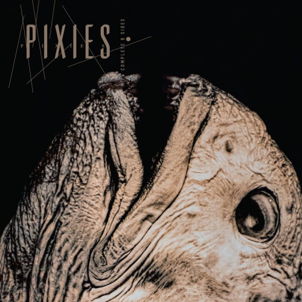 Pixies - Complete B Sides: 1988-97 in der Gruppe CD / Kommande / Pop-Rock bei Bengans Skivbutik AB (5671426)