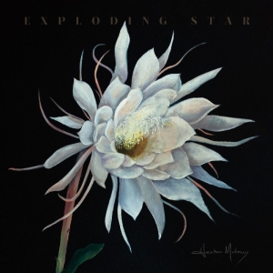 Maloney Heather - Exploding Star in der Gruppe VINYL bei Bengans Skivbutik AB (5671578)