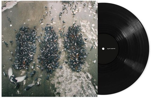 Show Me The Body - Alone Together (Vinyl) in der Gruppe UNSERE TIPPS / Freitagsveröffentlichungen / bei Bengans Skivbutik AB (5672126)