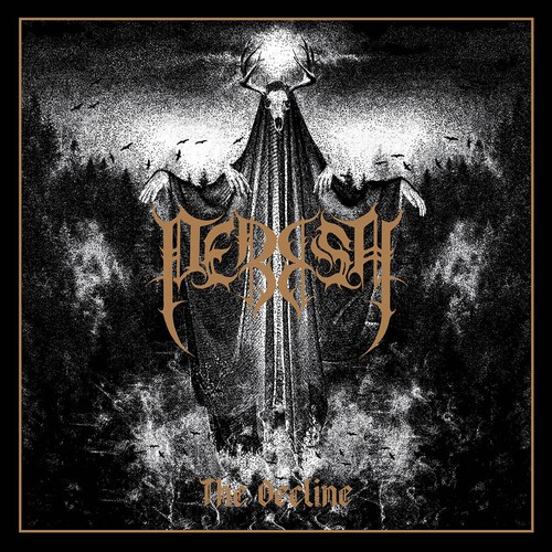 Perish - The Decline in der Gruppe VINYL / Hårdrock bei Bengans Skivbutik AB (5672401)