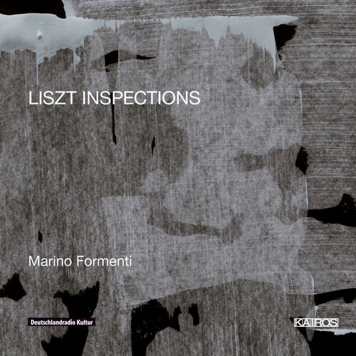 Franz Liszt - Formenti: Liszt Inspections in der Gruppe CD bei Bengans Skivbutik AB (5672756)