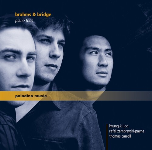Brahms / Bridge - Piano Trios in der Gruppe CD / Klassiskt bei Bengans Skivbutik AB (5672922)