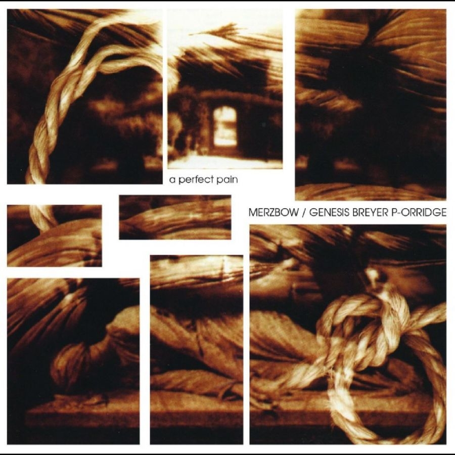 Merzbow / Genesis Breyer P-Orridge - A Perfect Pain in der Gruppe UNSERE TIPPS / Freitagsveröffentlichungen / 2026-06-05 bei Bengans Skivbutik AB (5673028)