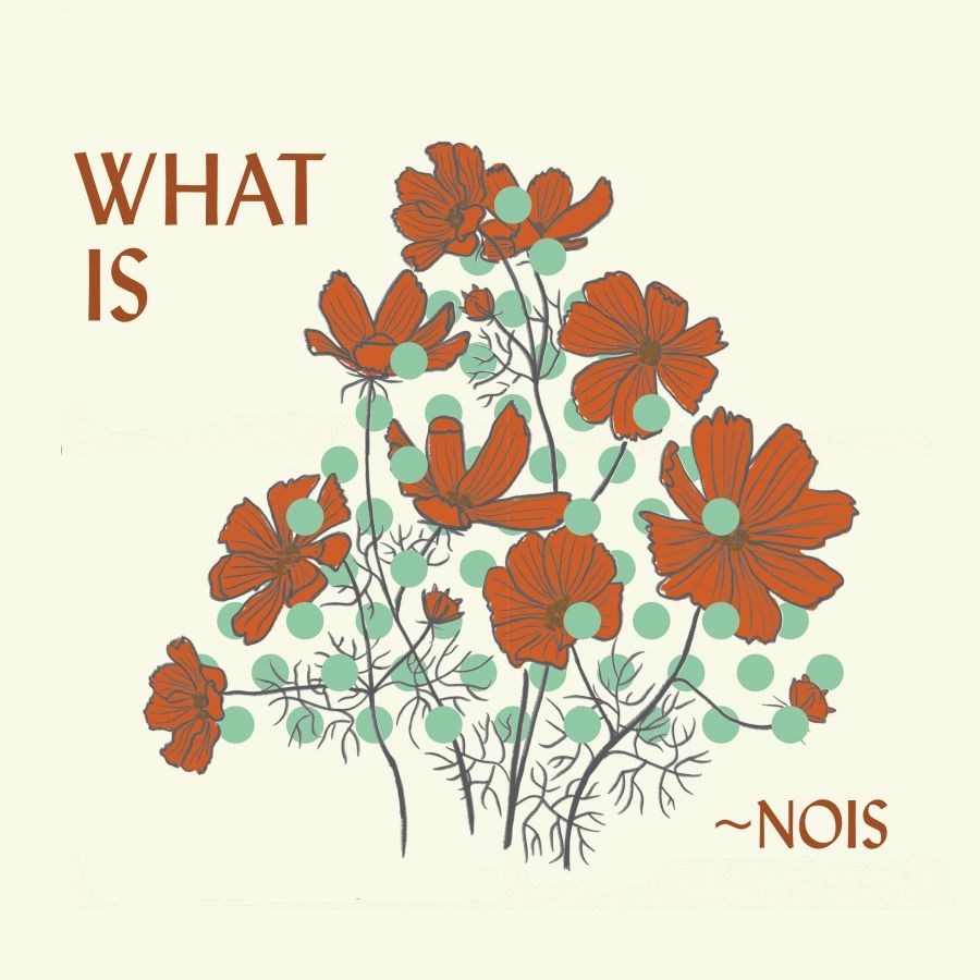 Nois - What Is ~Nois? in der Gruppe CD / Kommande / Pop-Rock bei Bengans Skivbutik AB (5673075)