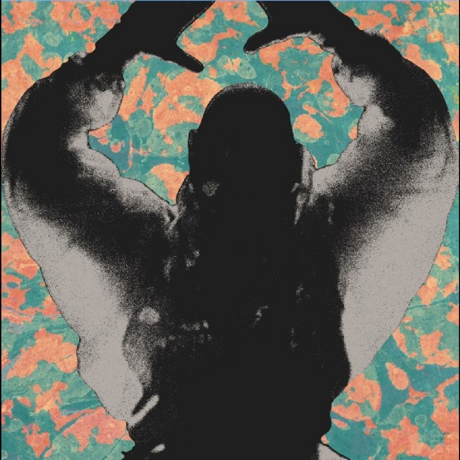 Startled Insects - The Antenna Years in der Gruppe VINYL / Kommande / Pop-Rock bei Bengans Skivbutik AB (5673092)