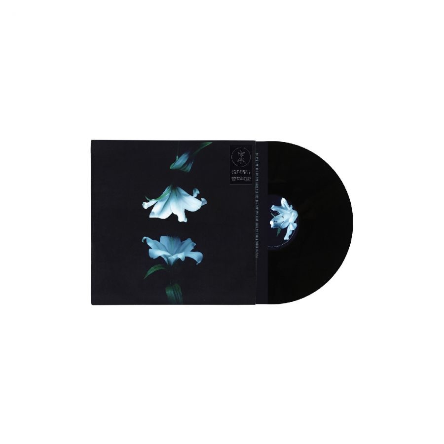 Wasia Project - Nocturne in der Gruppe VINYL / Kommande / Pop-Rock bei Bengans Skivbutik AB (5673117)