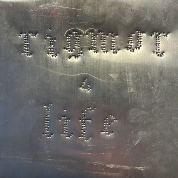 Rigmor - 4 Life in der Gruppe VINYL / Kommande / Pop-Rock bei Bengans Skivbutik AB (5673406)