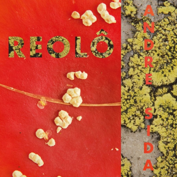 Reolo - Andre Sida in der Gruppe VINYL / Kommande / World Music bei Bengans Skivbutik AB (5673465)