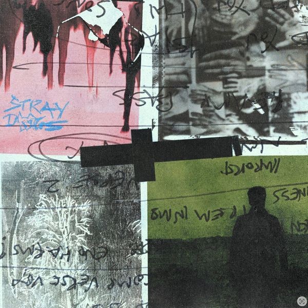 Nothing But Thieves - Stray Dogs in der Gruppe VINYL / Pop-Rock bei Bengans Skivbutik AB (5673602)