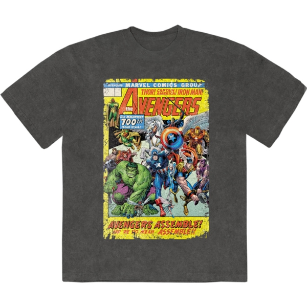 Marvel Comics - Avengers Assemble 700 Stone Wash Uni Char T-Shirt in der Gruppe MERCHANDISE / T-shirt / Nyheter / Film-Musikal bei Bengans Skivbutik AB (5674005r)