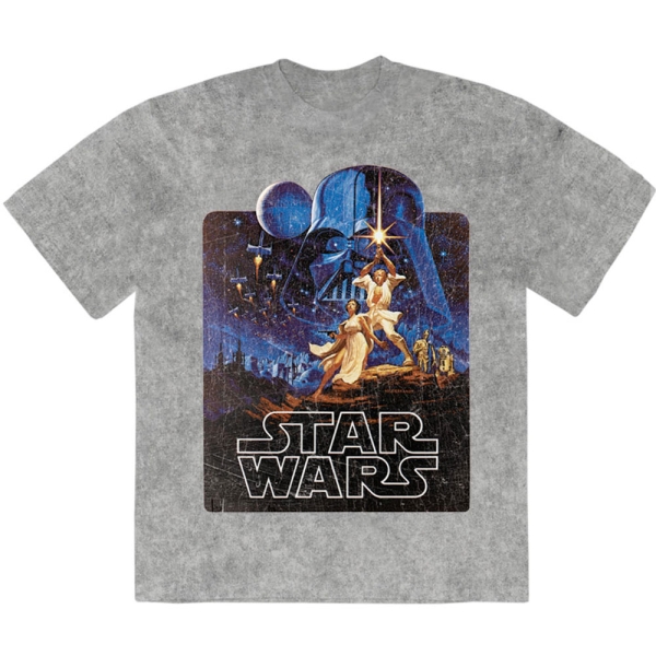 Star Wars - Luke & Leia Pose Stone Wash Uni Grey T-Shirt in der Gruppe MERCHANDISE / T-shirt / Nyheter / Film-Musikal bei Bengans Skivbutik AB (5674597r)