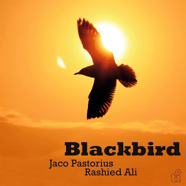 Jaco Pastorius & Rashied Ali - Blackbird in der Gruppe VINYL / Kommande / Pop-Rock bei Bengans Skivbutik AB (5675105)