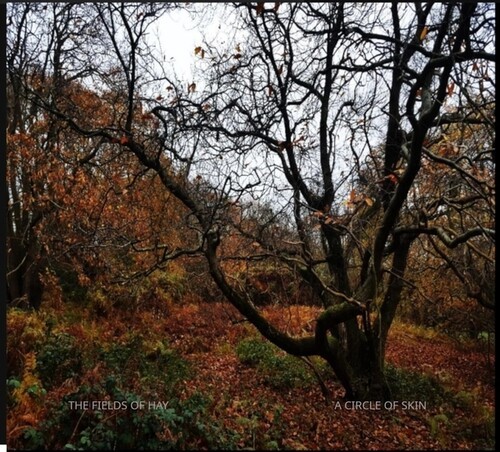 The Fields Of Hay - A Circle Of Skin in der Gruppe CD / Pop-Rock bei Bengans Skivbutik AB (5675255)