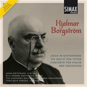 Borgström Hjalmar - Violin Concerto in der Gruppe CD bei Bengans Skivbutik AB (567558)