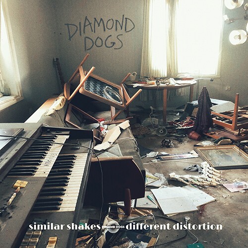 Diamond Dogs - Similar Shakes Different Distortion in der Gruppe CD / Bestseller bei Bengans Skivbutik AB (5676173)