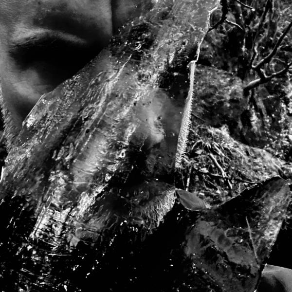 Taake - En Skog Av Nidstang (Cd Jewel Case) in der Gruppe CD / Kommande / Hårdrock bei Bengans Skivbutik AB (5676429)