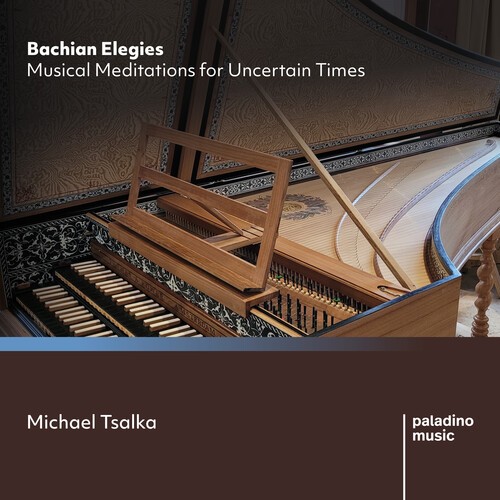 Michael Tsalka - Bachian Elegies - Musical Meditatio in der Gruppe CD / Klassiskt bei Bengans Skivbutik AB (5676584)