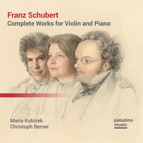 Franz Schubert - Complete Works For Violin And Piano in der Gruppe CD / Klassiskt bei Bengans Skivbutik AB (5676614)