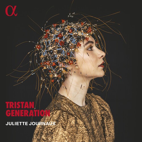Juliette Journaux - Tristan Generation in der Gruppe UNSERE TIPPS / Freitagsveröffentlichungen / 2026-09-11 bei Bengans Skivbutik AB (5677888)