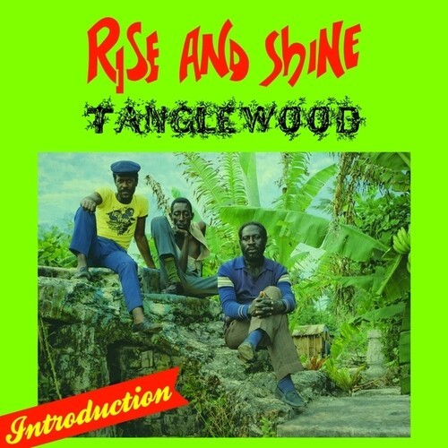 Tanglewood - Rise And Shine in der Gruppe VINYL / Reggae bei Bengans Skivbutik AB (5678047)
