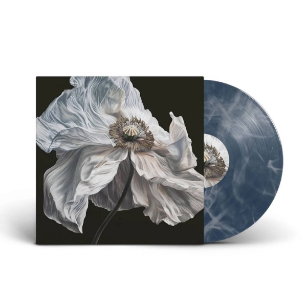 Quicksand - Bring On The Psychics in der Gruppe VINYL / Kommande / Pop-Rock bei Bengans Skivbutik AB (5678301)
