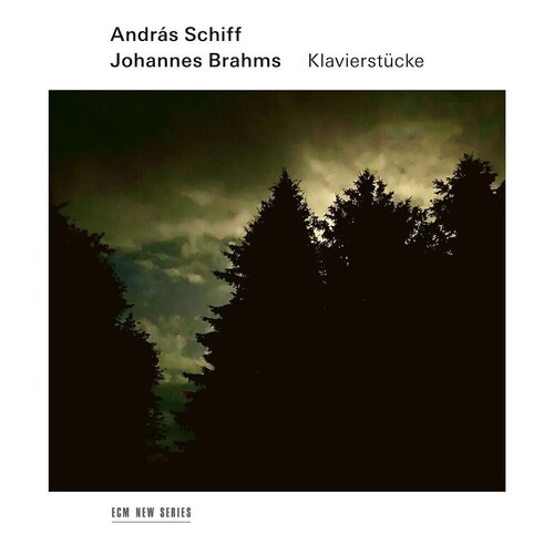 Johannes Brahms - Klavierstücke in der Gruppe CD / Klassiskt bei Bengans Skivbutik AB (5678477)