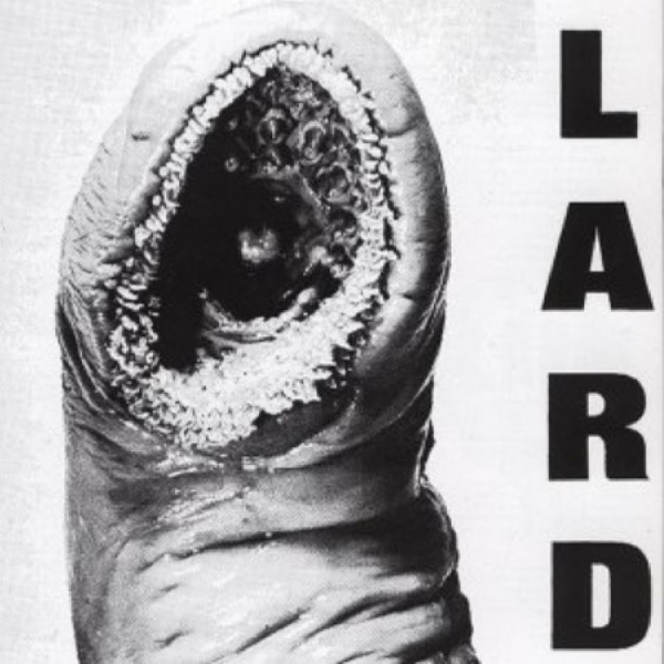Lard - The Power Of Lard in der Gruppe VINYL / Bestseller bei Bengans Skivbutik AB (5678481)