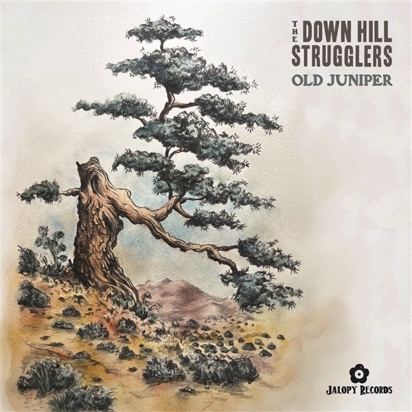 The Down Hill Strugglers - Old Juniper in der Gruppe VINYL / Bestseller bei Bengans Skivbutik AB (5679399)