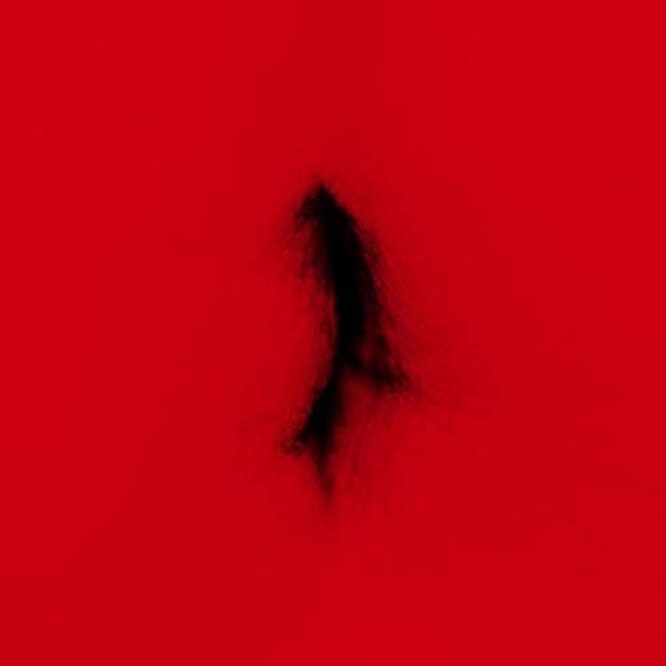 Dingwei - Untied in der Gruppe VINYL / Pop-Rock bei Bengans Skivbutik AB (5679696)