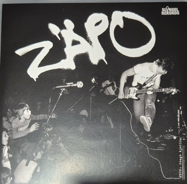 Zäpo - Genom Mitt Fönster in der Gruppe VINYL / Nyheter / Punk bei Bengans Skivbutik AB (5680204)