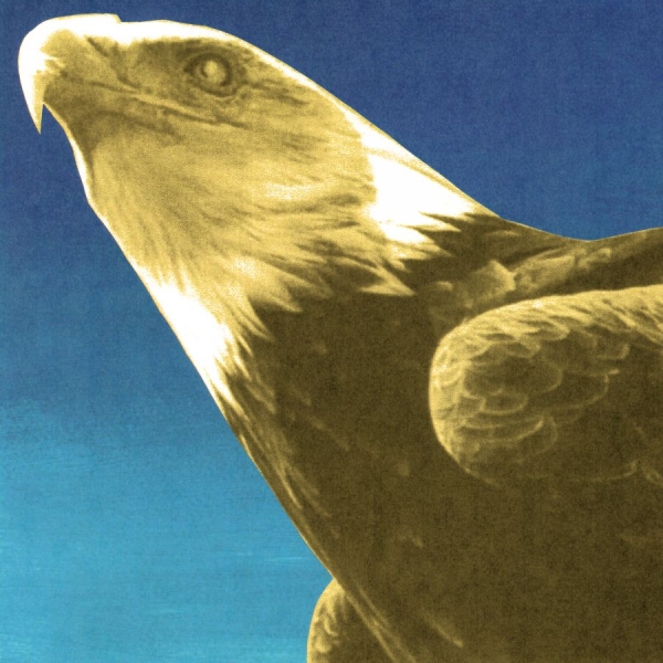 Protomartyr - Hotel Usona (Gold Vinyl) in der Gruppe VINYL / Kommande / Pop-Rock bei Bengans Skivbutik AB (5680269)