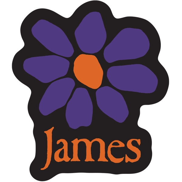 James - Orange Logo Purple Daisy Sticker in der Gruppe MERCHANDISE / Merch / Kommande / Pop-Rock bei Bengans Skivbutik AB (5680924)