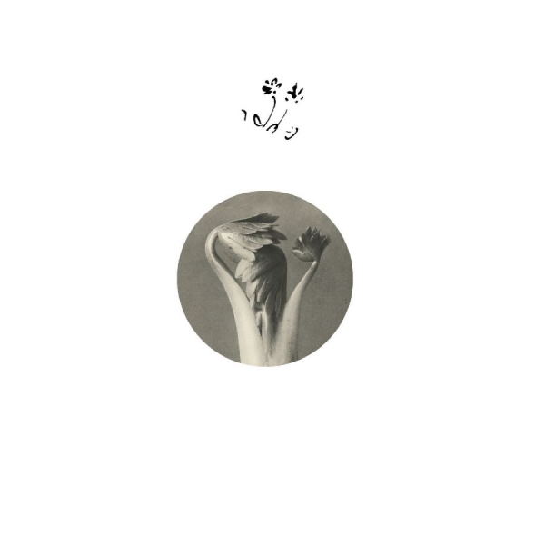 Returning Sweetness (Eversines) - Longevity Eyebrow in der Gruppe VINYL / Kommande / Pop-Rock bei Bengans Skivbutik AB (5681481)