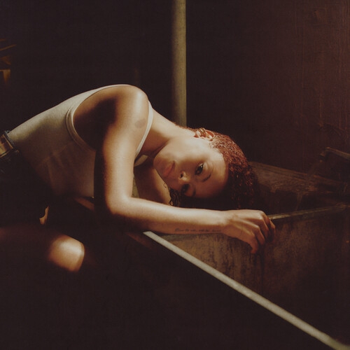 Ravyn Lenae - Bird's Eye (Bone Vinyl) in der Gruppe VINYL / RnB-Soul bei Bengans Skivbutik AB (5681610)