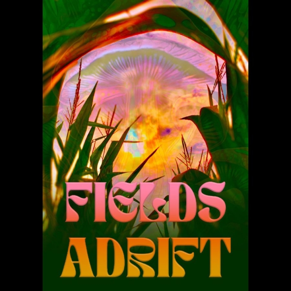 Various Artists - Fields Adrift in der Gruppe Musik-DVD & Bluray / Kommande bei Bengans Skivbutik AB (5682029)