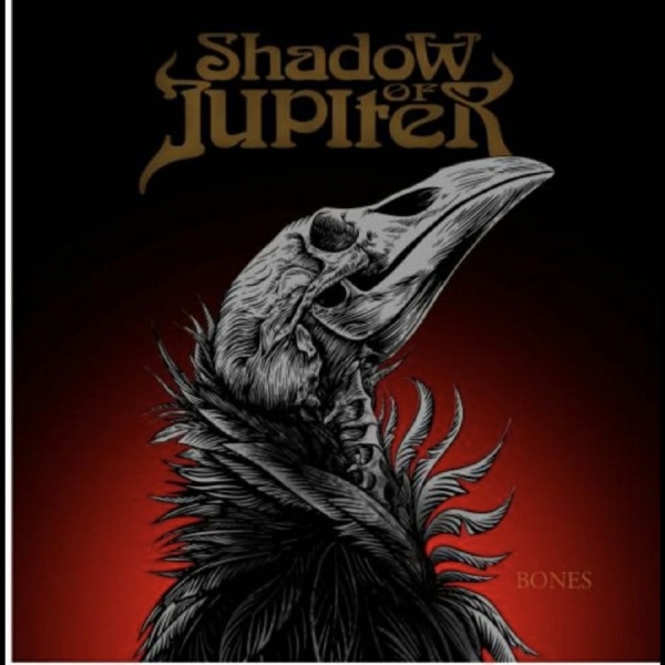 Shadow Of Jupiter - Bones in der Gruppe UNSERE TIPPS / Startsida - Vinyl Nyheter & Kommande bei Bengans Skivbutik AB (5682082)