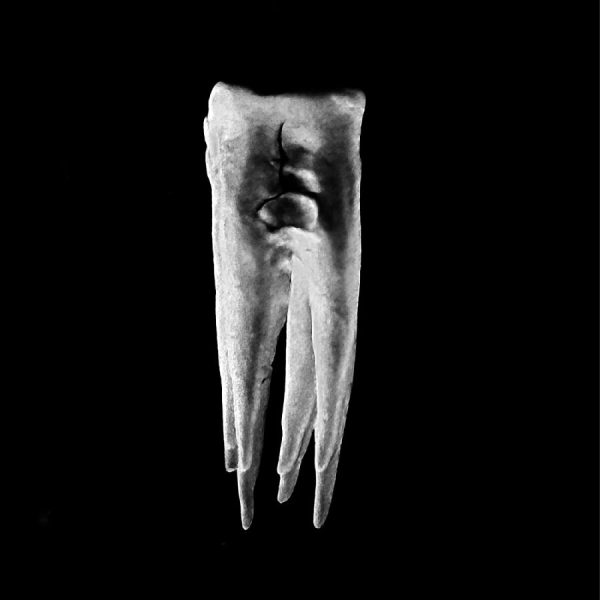 Chalk Teeth - Chalk Teeth in der Gruppe Pop-Rock bei Bengans Skivbutik AB (5682100)